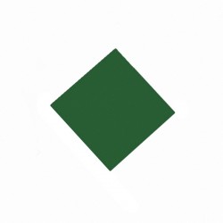 Rectangular disposable mats COLOR - (100 pieces)